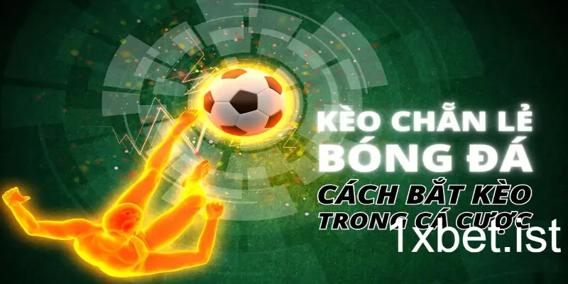 Kèo chắn lẽ tại 1xBet